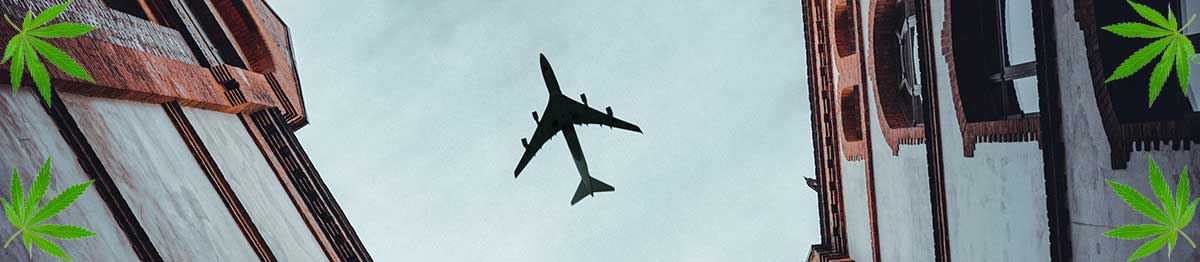 cannabis flugsuche
