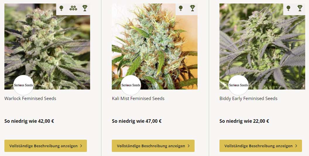 sativa samen kaufen