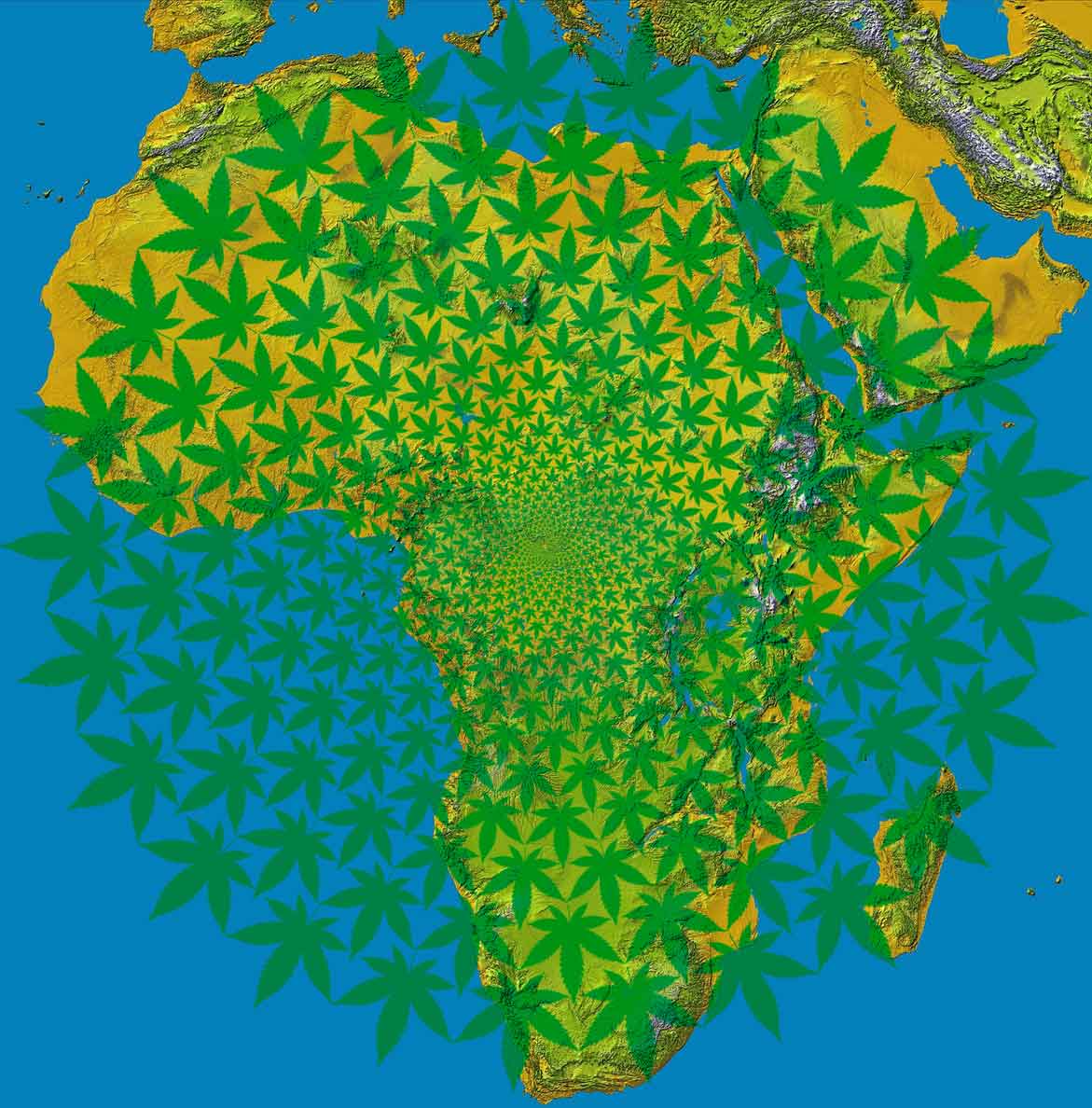 cannabis afrika