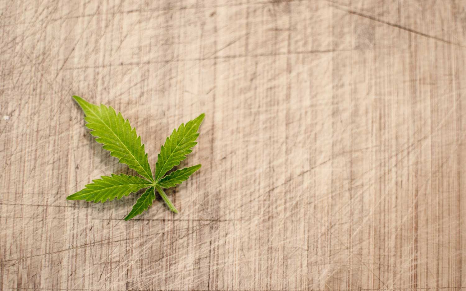 cannabis lebensmittel