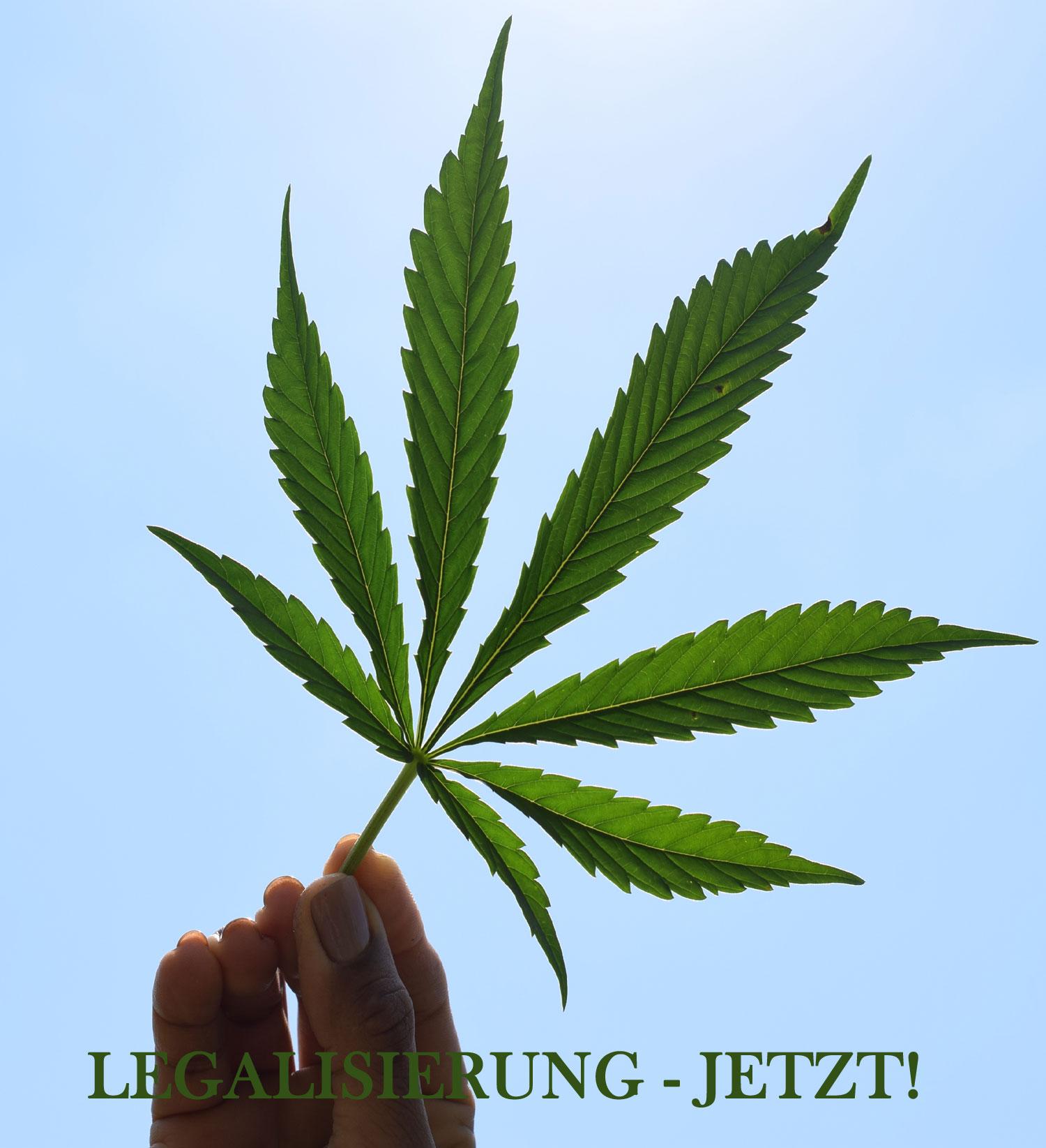 cannabis legalisierung