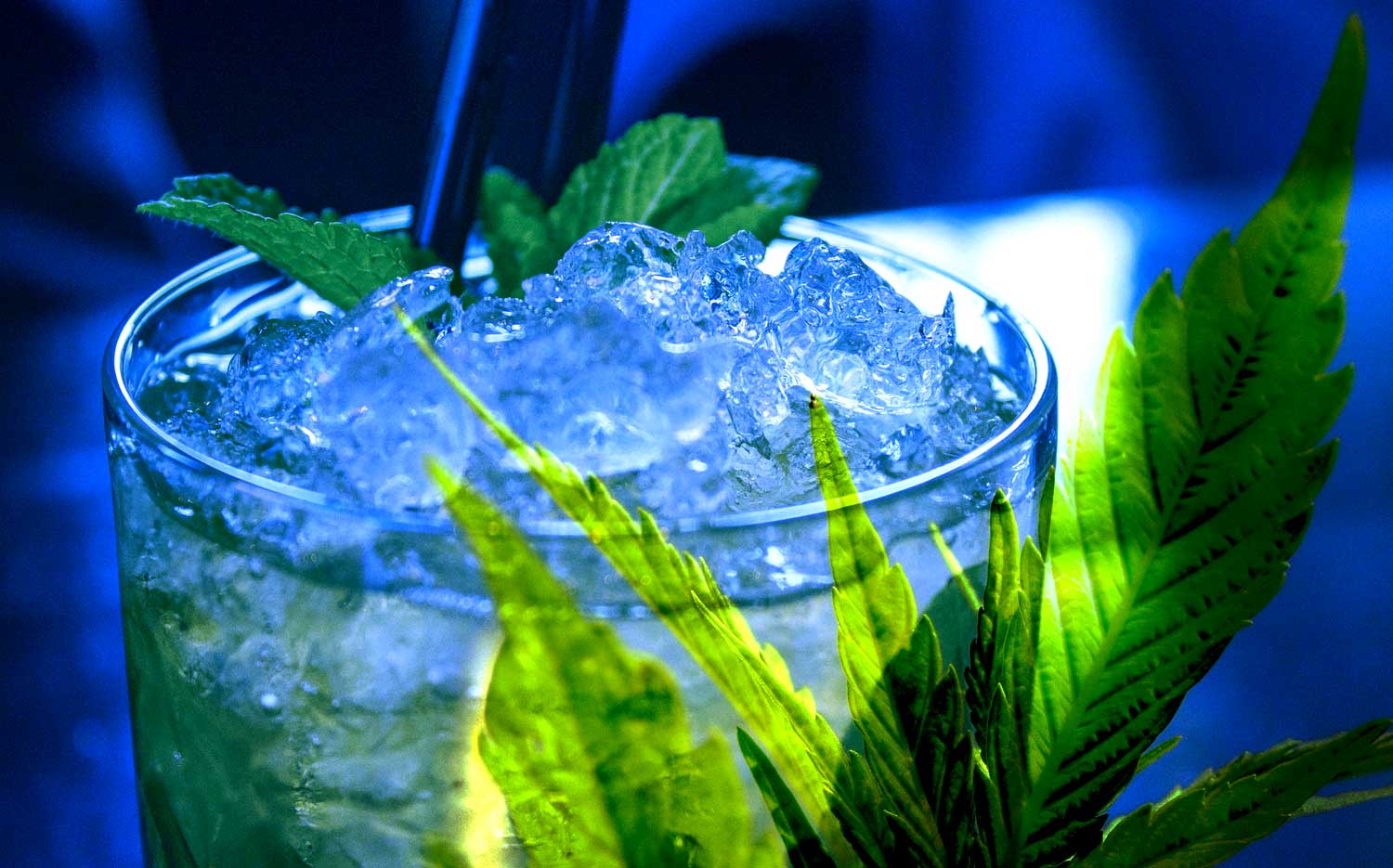 cannabis mojito