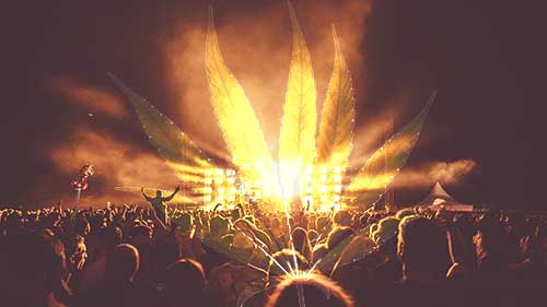 Die besten Cannabis Sorten für Musik - und schon klingt alles besser! 