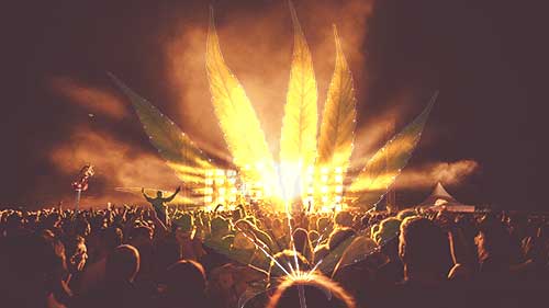 Die besten Cannabis Sorten für Musik - und schon klingt alles besser!