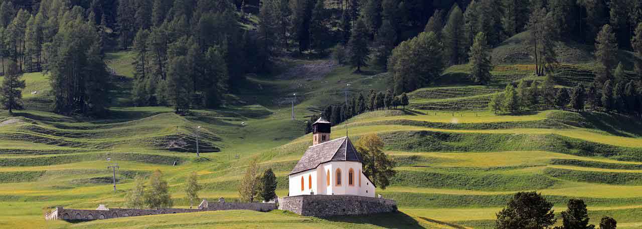 schweiz cannabis medizin