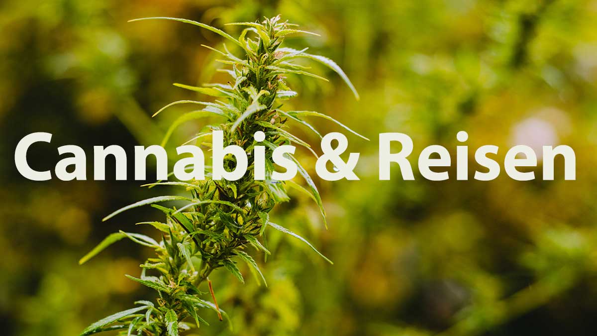 reisen mit cannabis