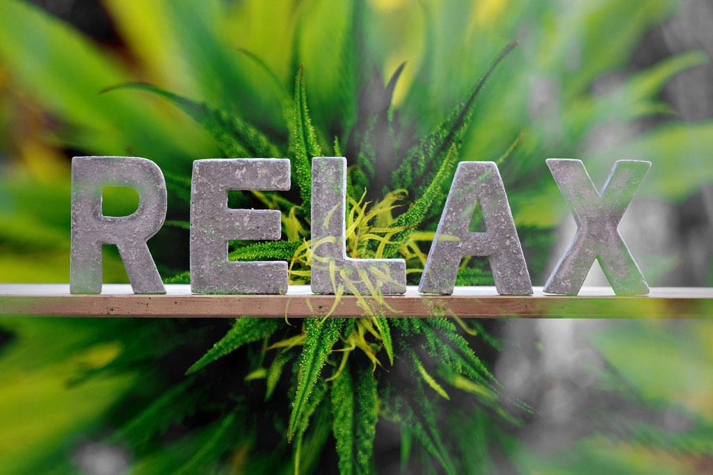 relax cannabis