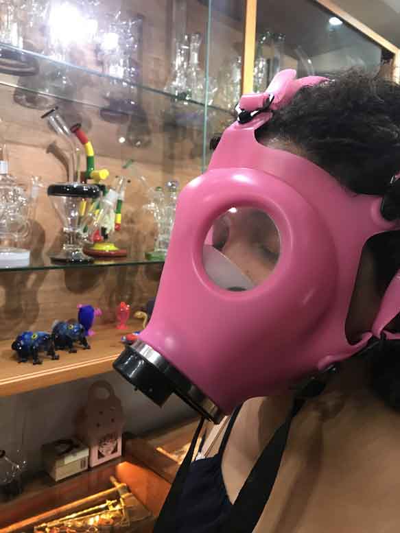 shop cannabis domrep