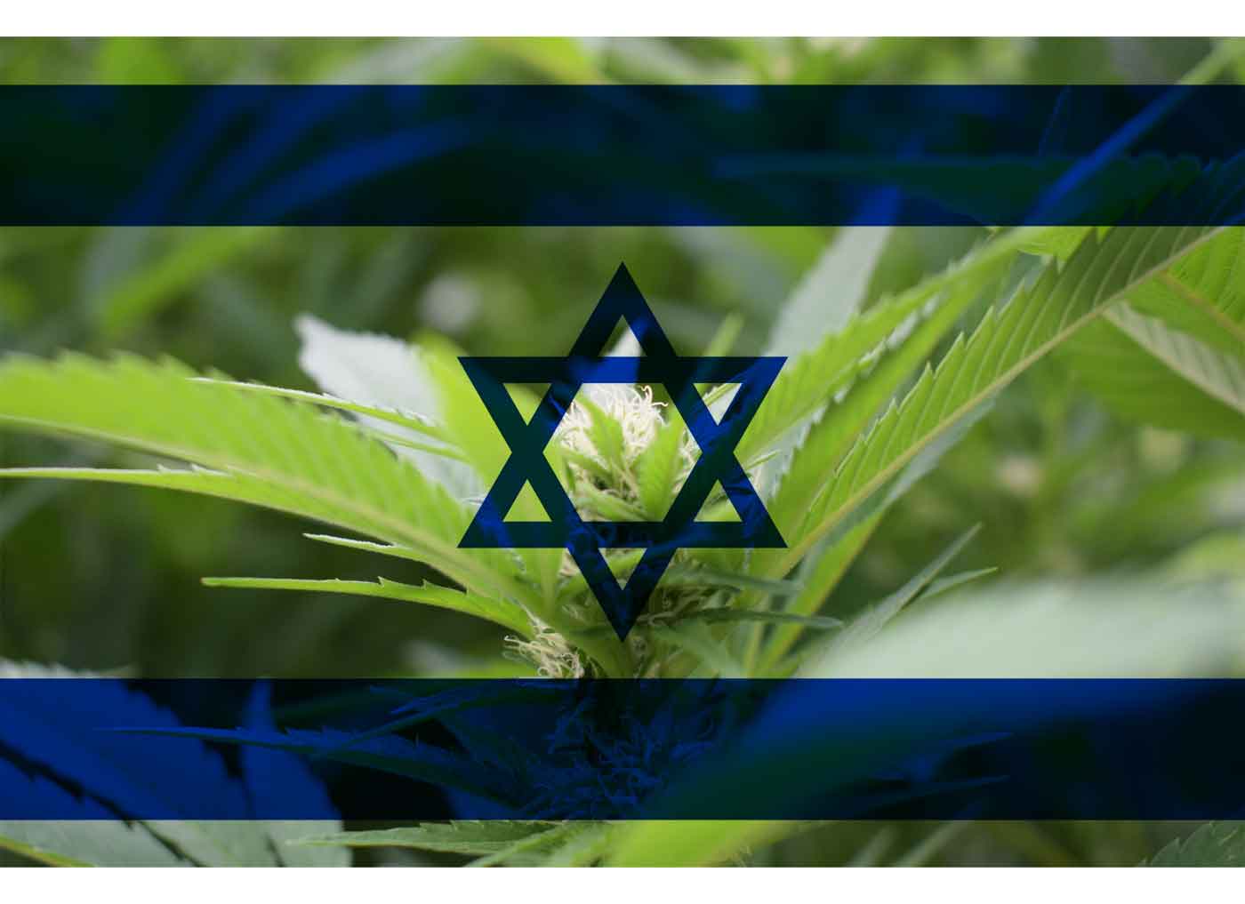 israel cannabis