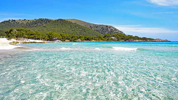 Warum ist eigentlich Mallorca so besonders für Cannabis Urlaub?  