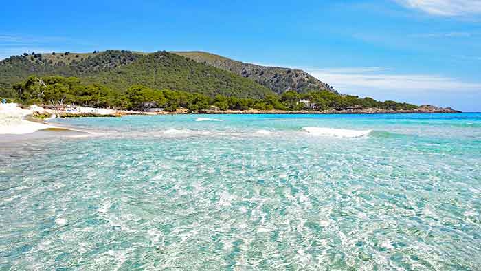 Warum ist eigentlich Mallorca so besonders für Cannabis Urlaub?
