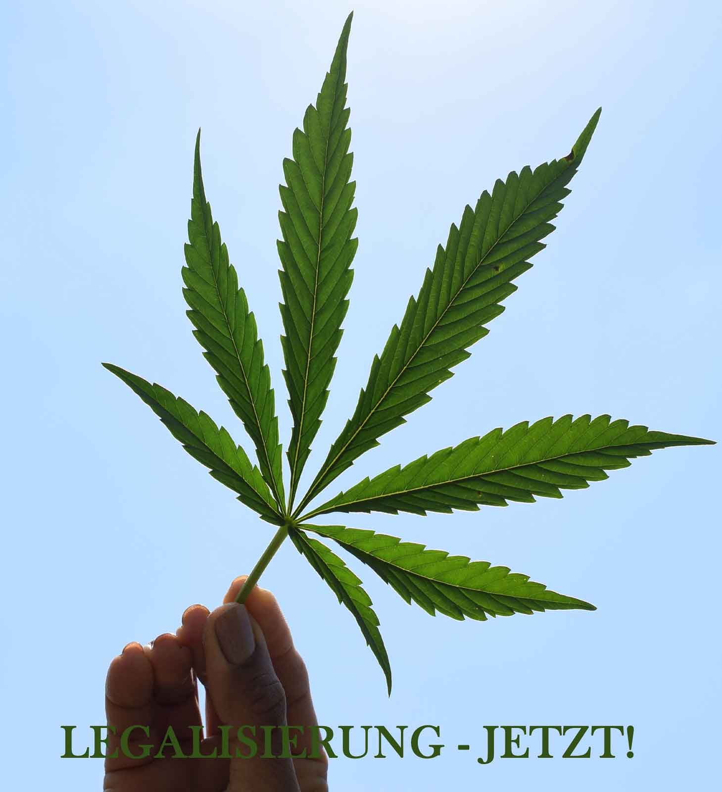 Cannabis Legalisierung Jetzt