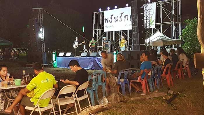 Cannabis Urlaub in Koh Phangan