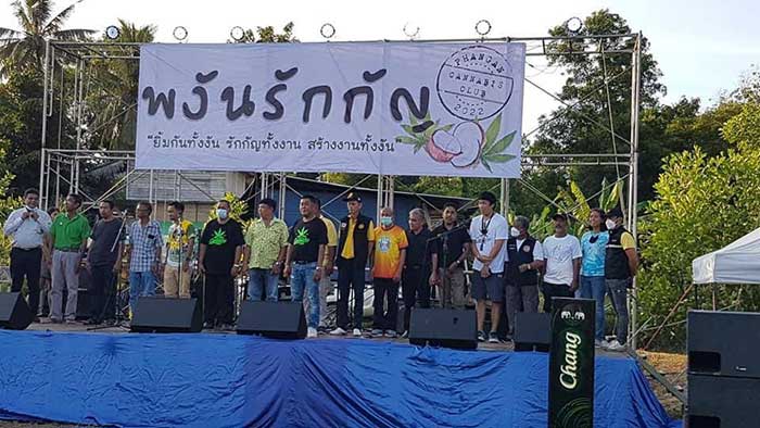 Cannabis Club in Koh Phangan