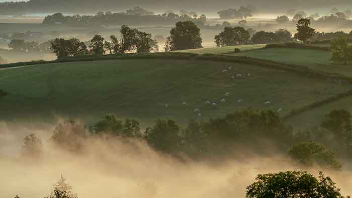 Cannabis Urlaub im Schönen Burgund