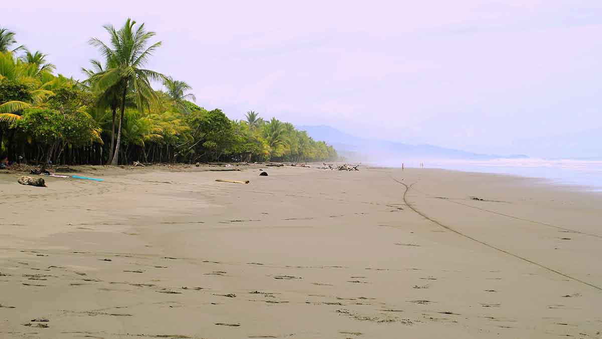 Cannabis Urlaub in Costa Rica: Tipps & Infos 2024