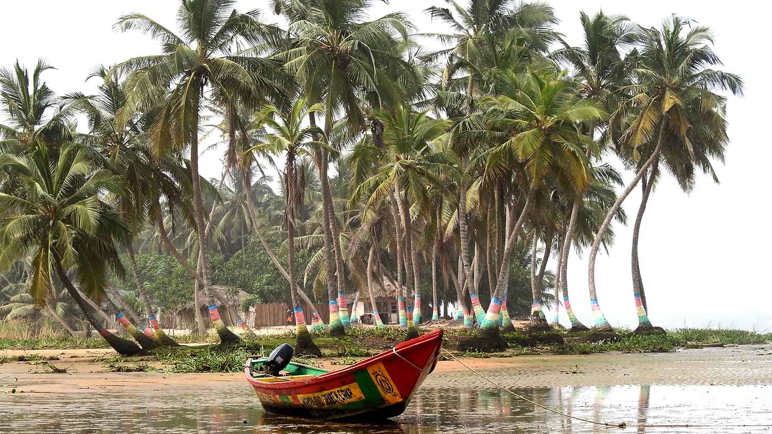 Was Sie über die Legalisierung von Cannabis in Ghana wissen müssen