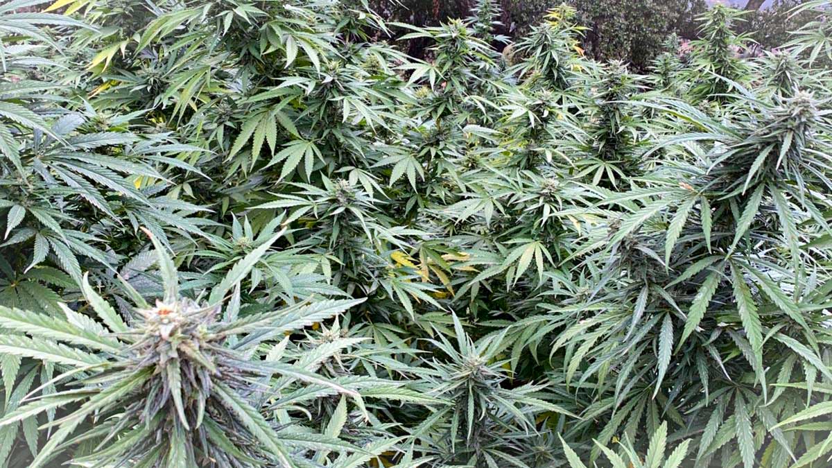 Kultureller Respekt & Sicherheit im Rif-Gebirge