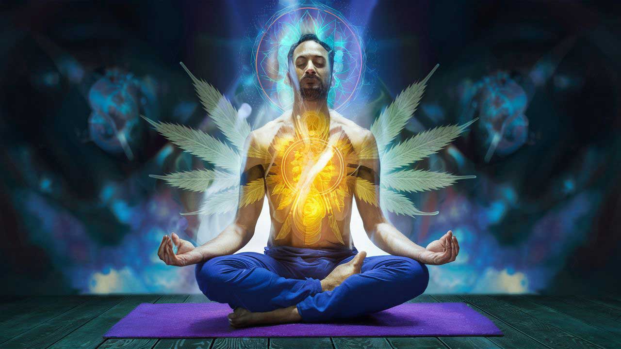Spiritual Cannabis Academy: Kurse & Retreats