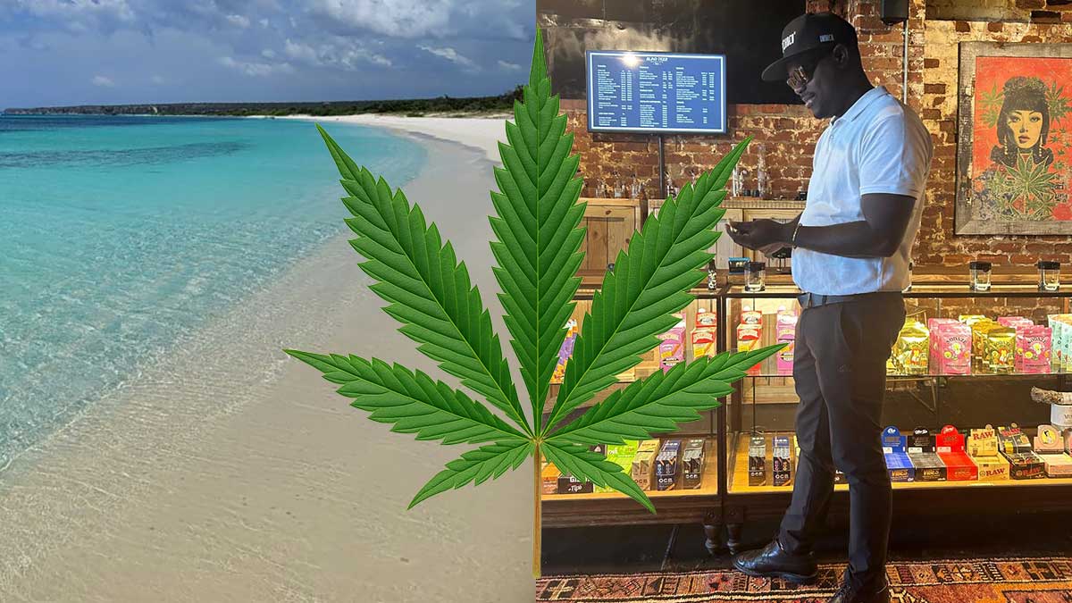 Kapstadt vs. Dominikanische Republik: Dein Cannabisurlaub