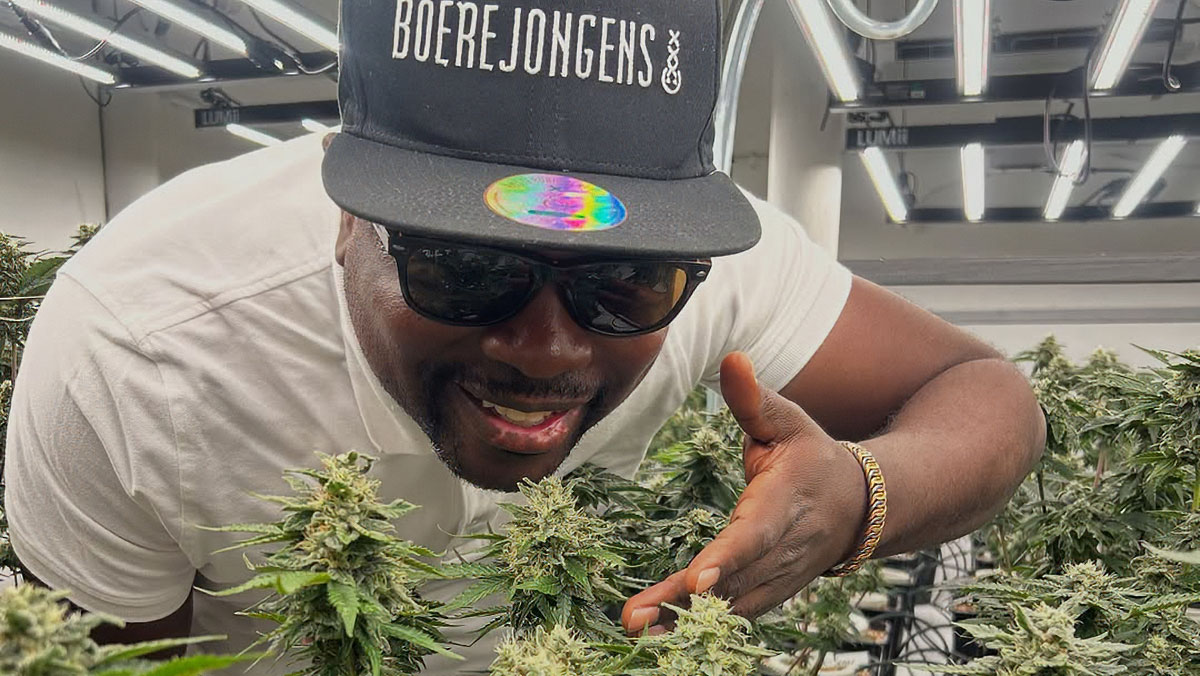 Wein & Cannabis-Guide Touren in Kapstadt erleben