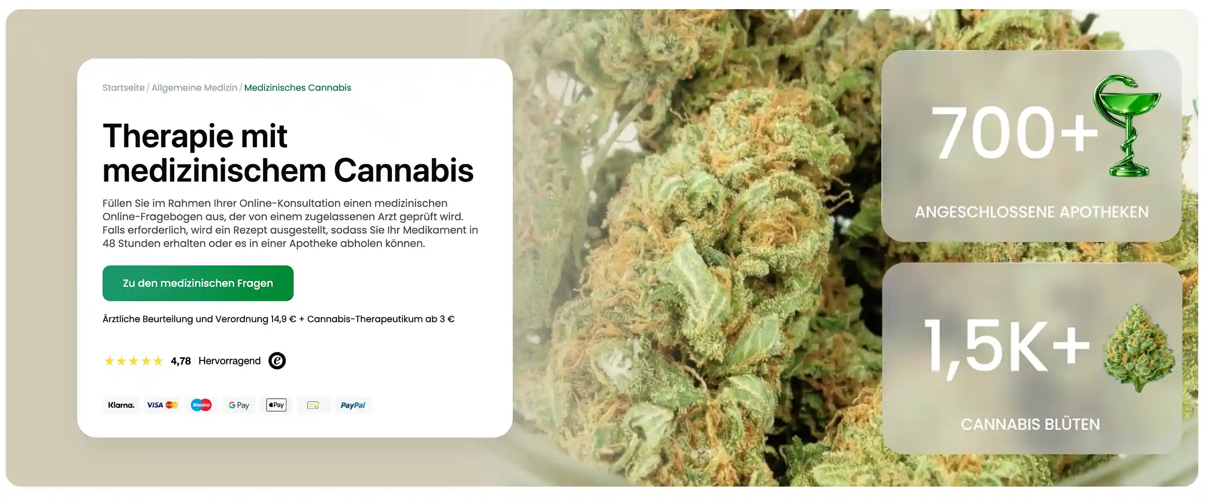 therapie mit medizinischem cannabis