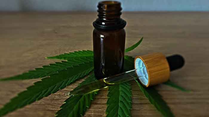 Was ist CBD-Öl? Ein Guide für Cannabis-Enthusiasten