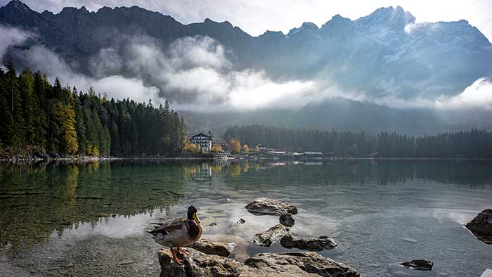 Cannabis-Wochenendtrips: Deutschland neu entdecken