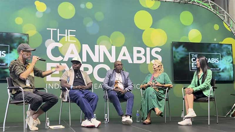 Mit Kuda high durch Kapstadt reisen