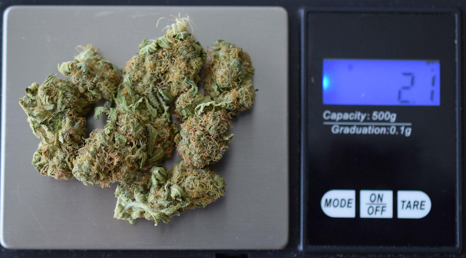 Das Cannabis Club Gewinnspiel für Barcelona cannabis club gewinnspiel barcelona