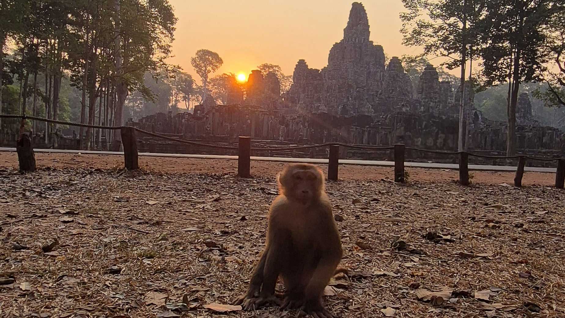 🌍 Cannabis weltweit erleben – Buche deine exklusive 420-Tour!