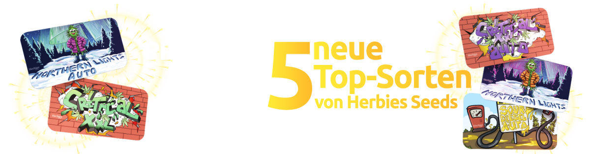 herbiesheadshop