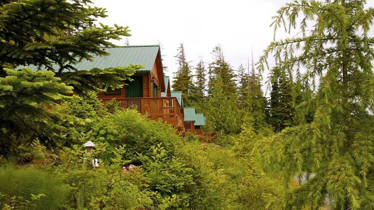 Bear Cove Cottages