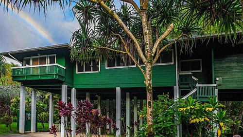 Kauai Tree House
