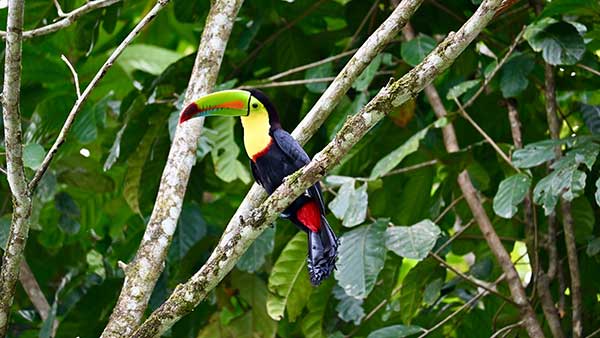 costa rica urlaub