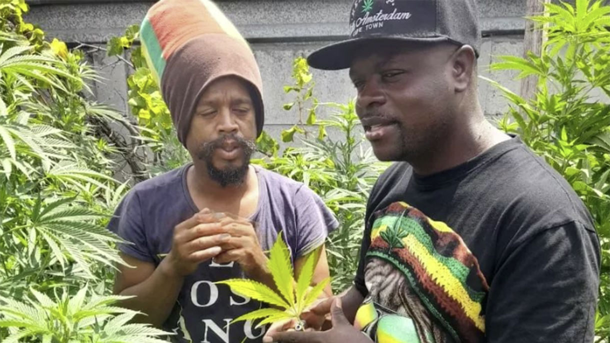 Cannabis-Kulturen der Welt: Eine Entdeckungsreise für Genießer und Abenteurer