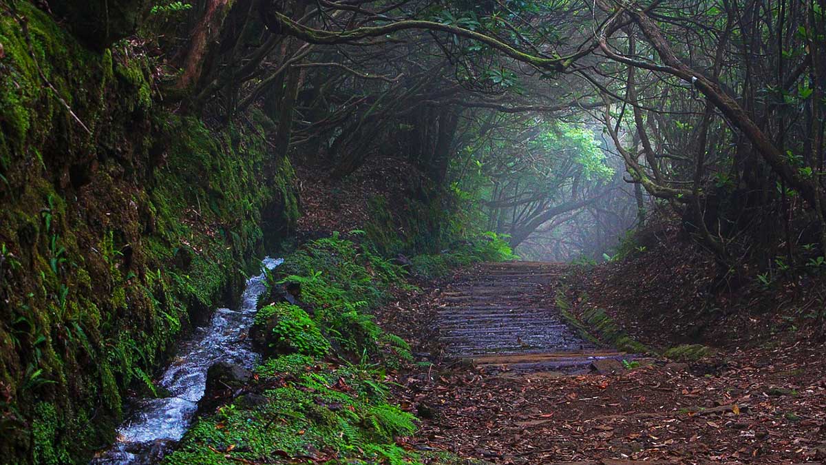 Madeira 2026: Wanderwege nur mit Buchung