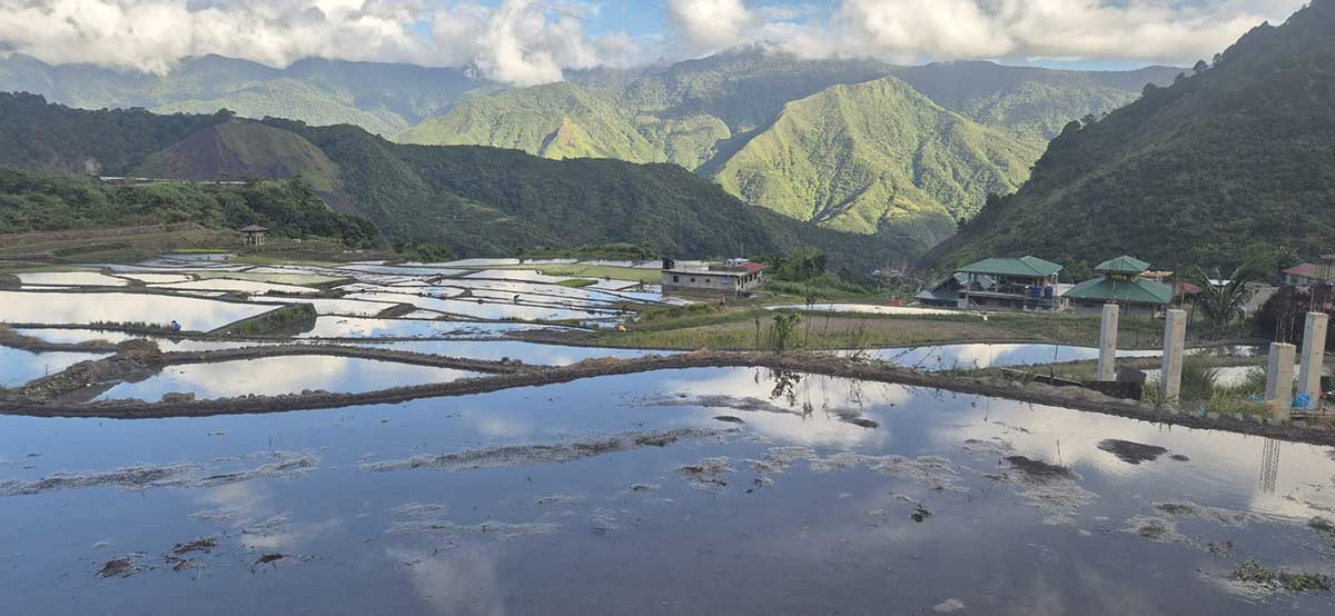 Cannabis in der Natur der Philippinen – Reisebericht