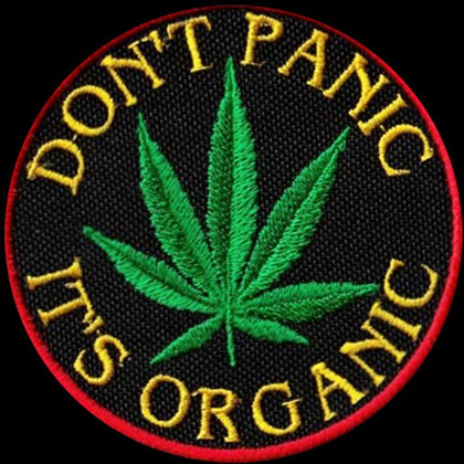 istanbul cannabis contact