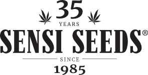 sensi seeds