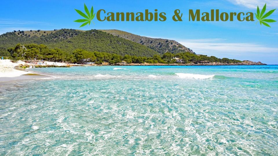 Warum ist eigentlich Mallorca so besonders für Cannabis Urlaub?https://www.cannabisurlaub.com/reisen/news/mallorca-cannabis