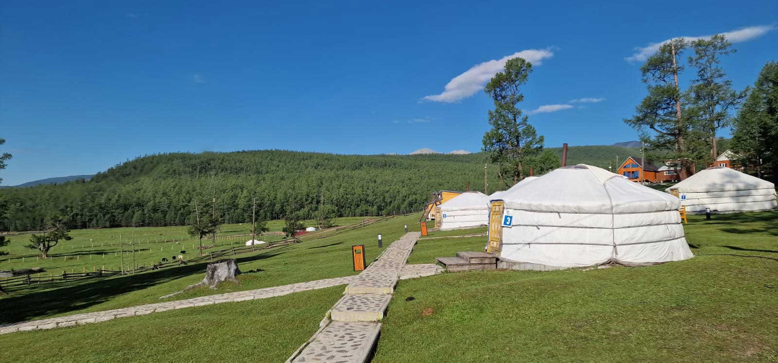 Freiheit spüren, Natur erleben – Mongolei entdecken!