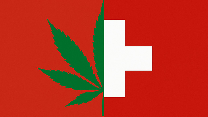 Geführte Cannabis-Guide-Touren in der Schweiz!