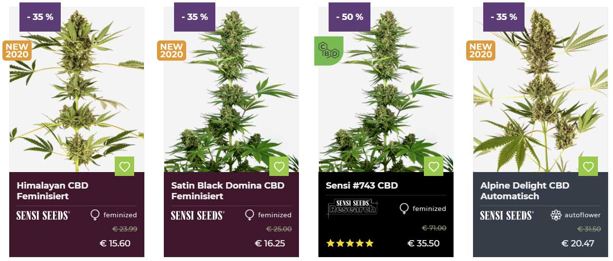 gras kaufen cbd