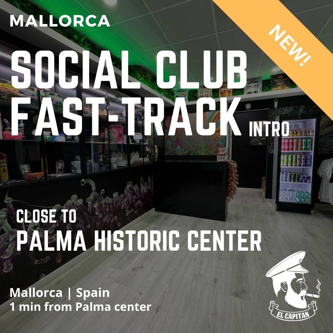 Social Club Fast-Track Contact | Mallorca - Palma Historic Center Social Club Fast-Track Contact | Mallorca - Palma Historic Center