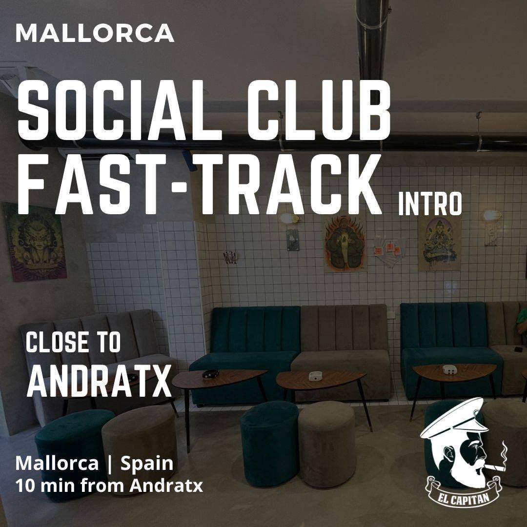 Social Club Fast-Track Contact | Mallorca - Andratx Social Club Fast-Track Contact | Mallorca - Andratx