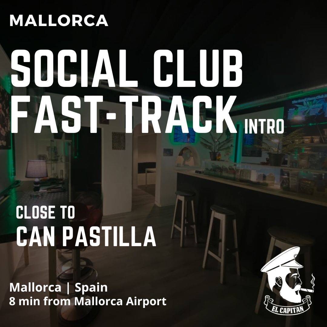 Social Club Fast-Track Contact | Mallorca - Can Pastilla Social Club Fast-Track Contact | Mallorca - Can Pastilla