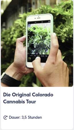 Die Original Colorado Cannabis Tour