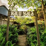 The Jungle Lodge at Kalu Yala