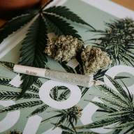 Cannabisfreundliche Städte in den USA